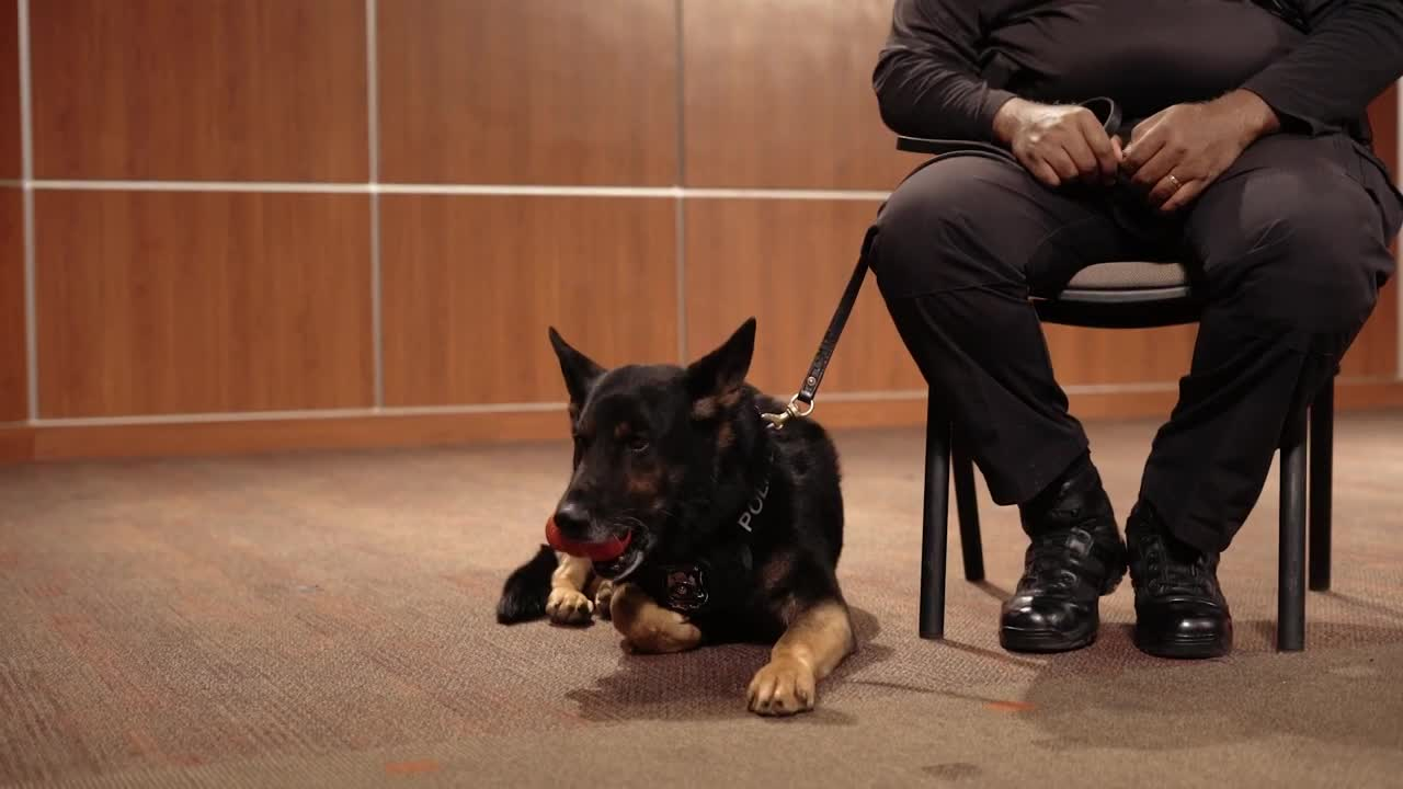 Thumbnail image for DCSD K-9 Unit Documentary